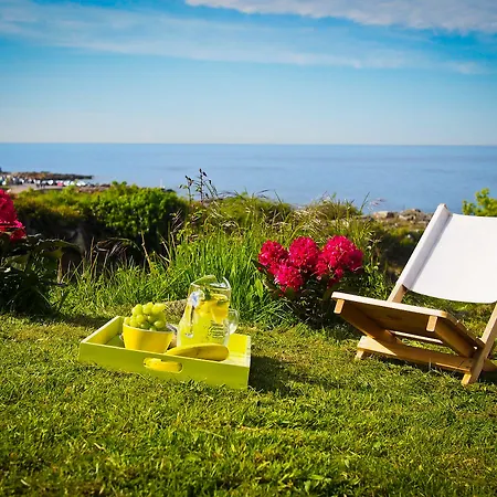 琦鹏酒店 3* 古兹耶姆