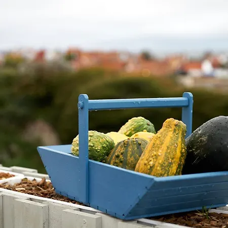 琦鹏酒店 酒店 古兹耶姆