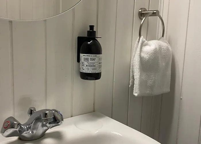 Klippen - Grevens Dal 3* Gudhjem